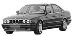 BMW E34 B203B Fault Code